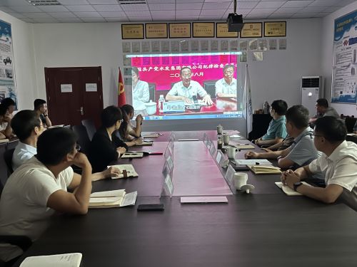 【河海水文】水發(fā)水控集團(tuán)黨委委員、紀(jì)委書記王高升到河海公司全面從嚴(yán)治黨、黨風(fēng)廉政建設(shè)專題調(diào)研 (1).jpg